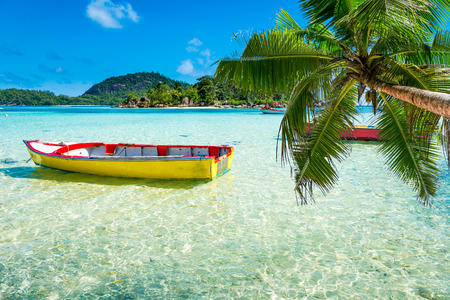 tropical beach with a boatの写真素材