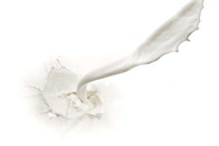 splashing milk on white backgroundの写真素材