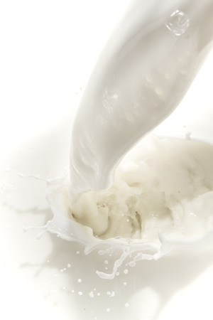 splashing milk on white backgroundの写真素材