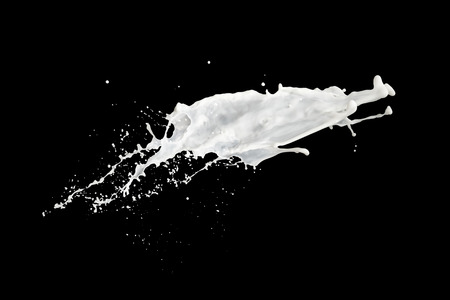 milk splash isolated on black backgroundの写真素材