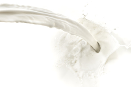 splashing milk on white backgroundの写真素材
