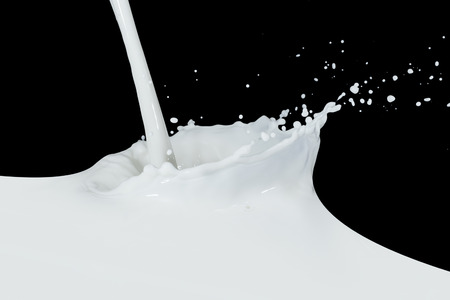 splashing milk isolated on black backgroundの写真素材