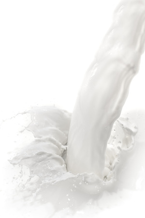 splashing milk on white backgroundの写真素材