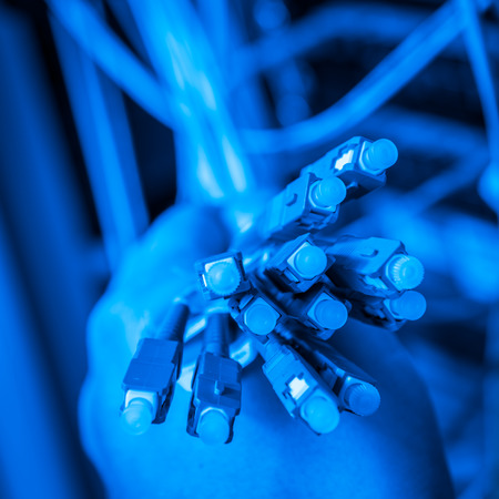 hand  of administrator holding bunch of optic fiber cables with connectorsの写真素材