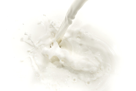 splashing milk on white backgroundの写真素材