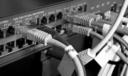 network cables connected to hub