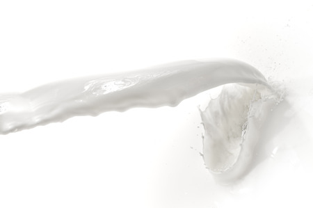 splashing milk on white backgroundの写真素材