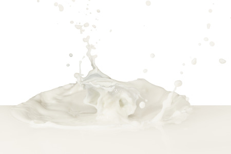 splashing milk isolated on white backgroundの写真素材