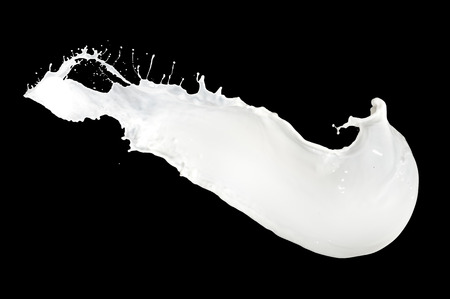 milk splash isolated on black backgroundの写真素材