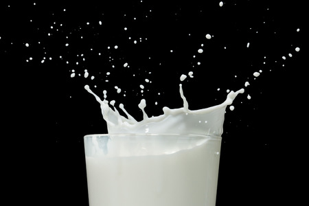 milk splashing from the glassの写真素材