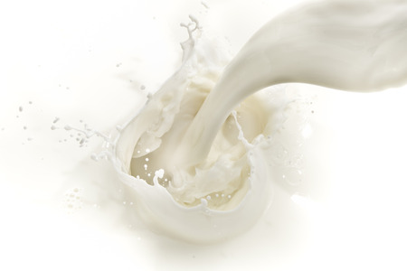 splashing milk on white backgroundの写真素材