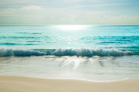 tropical beach with turquoise waterの写真素材