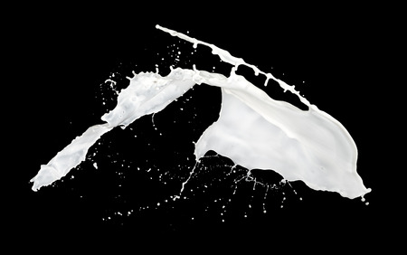 milk splash isolated on black backgroundの写真素材