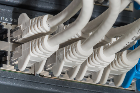 network cables connected to switch - closeup of data center hardware
