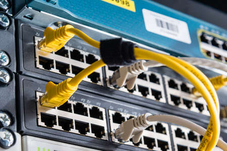 colorful patch cables connected to switch - high speed internet concept
