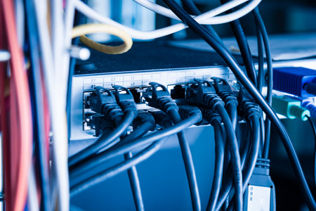 black patch cables connected to ethernet ports of the switchの写真素材
