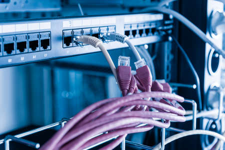 red patch cables to be connected to ports of the switch