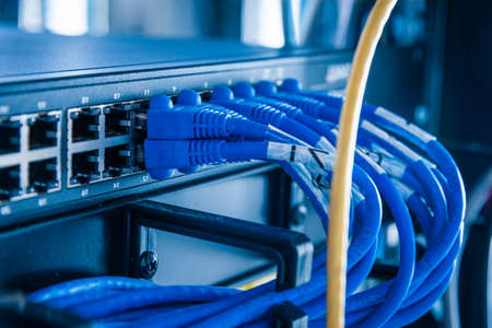 blue patch cables connected to ethernet ports of the switch