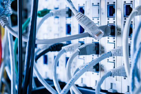 Detail of server room with patch cablesの写真素材