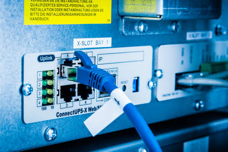 Back side of a server with internet cable connected in the slotの写真素材