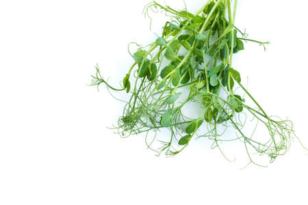 pea shoots with tendrils lying flat, isolated on white