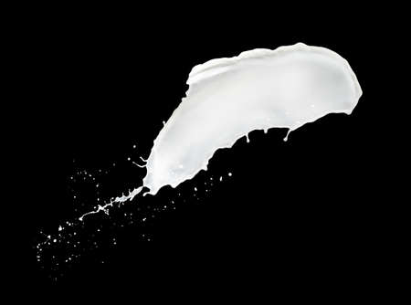 milk splash isolated on black backgroundの写真素材