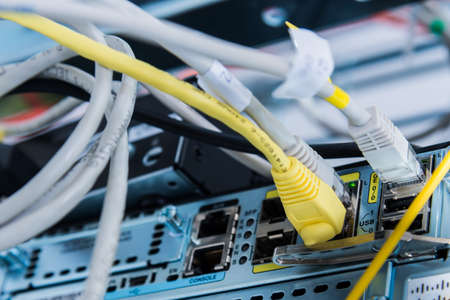 Network cable plugged in data center switch