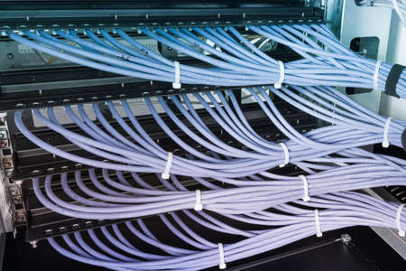 bunch of patch network cables sorted in rack cabinet, leading from patch panel in the server rack in...