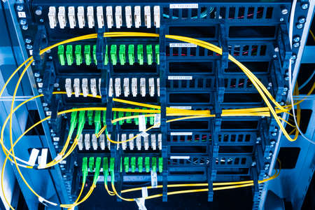 Fiber Optic cables connected to an optic ports - data switch in internet data center