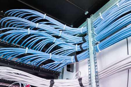bunch of patch network cables sorted in rack cabinet, leading from patch panel in the server rack in...