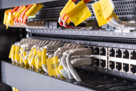 network cables connected to switch - closeup of data center hardware