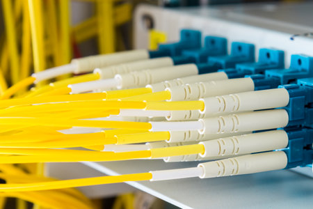 fiber optic cables plugged in network switch panel inside data centerの写真素材