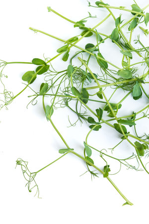 pea shoots with tendrils lying flat, isolated on whiteの写真素材