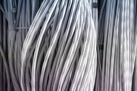 detail of large number of ethernet cables tied together connecting racks inside server roomの写真素材