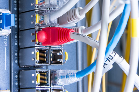 detail of ethernet cables connected to switch portsの写真素材