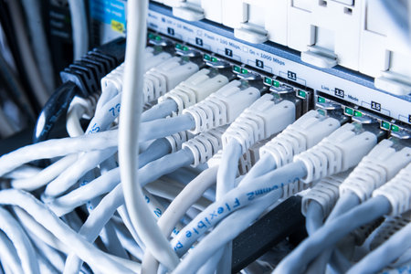 white patch cables connected to data switchの写真素材