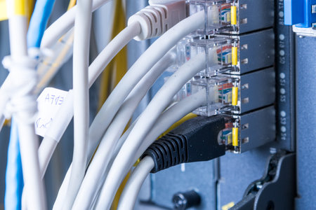 detail of ethernet cables connected to switch portsの写真素材