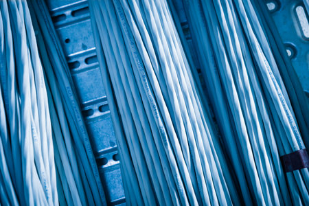 detail of large number of ethernet cables tied together connecting racks inside server roomの写真素材