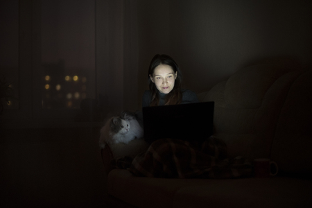 Girl and cat working at the computer at nightの写真素材