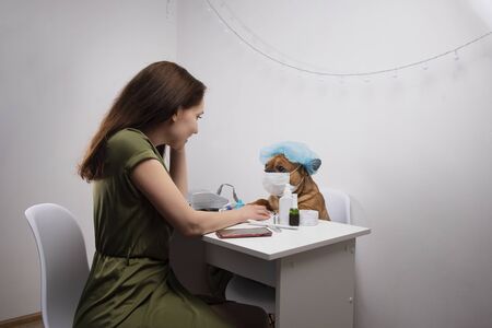 dog french bulldog manicures at homeの写真素材