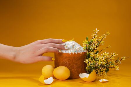 Easter cake, eggs and willow on a yellow backgroundの写真素材