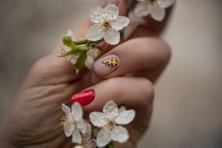 ladybug manicure in spring colorsの写真素材