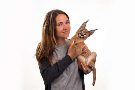 young girl holds a caracal kitten in her hands on a white isolated backgroundの写真素材