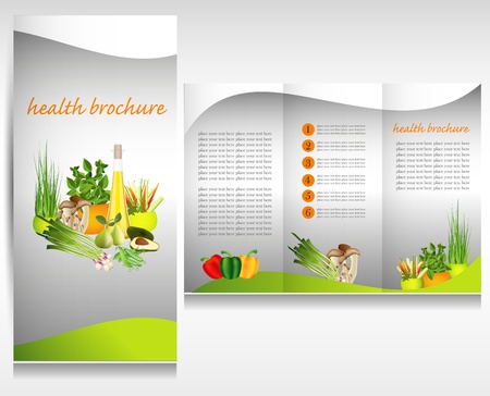Health food brochure design. Bio vegetable and fruit. Brochure folder.のイラスト素材
