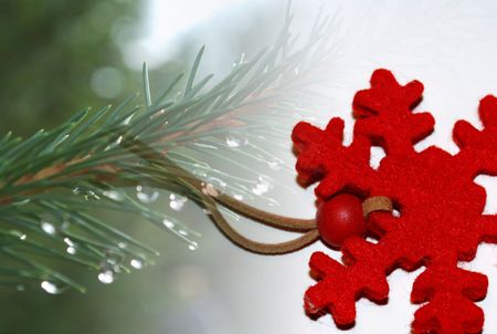 Christmasの写真素材