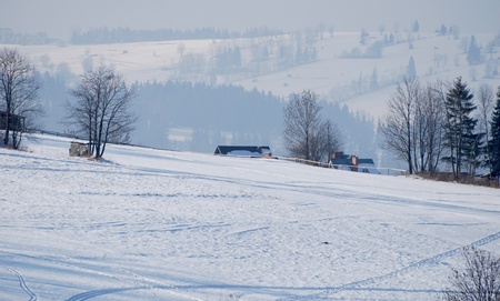 winter