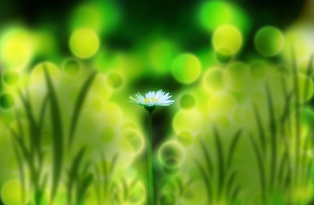 springの写真素材