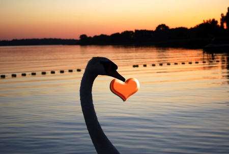 valentineの写真素材