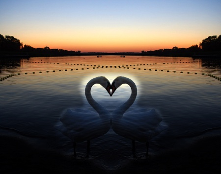 valentineの写真素材