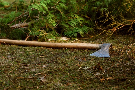 ax in gardenの写真素材